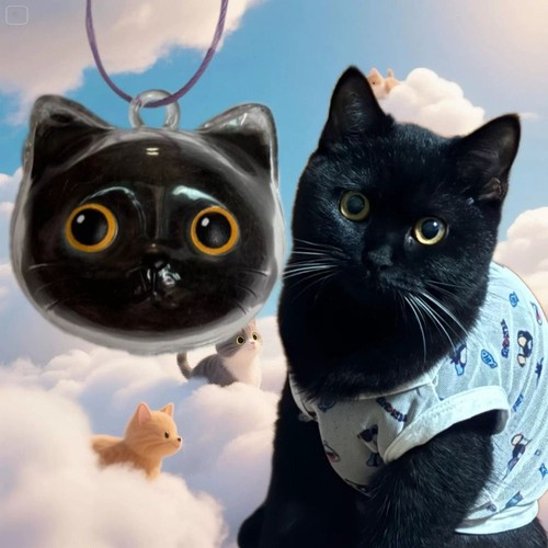Animal shaped cat hair - hair, storage