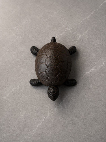 Cast iron turtle key hide - hide, box